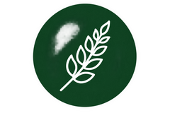 Clean & Honest Ingredients